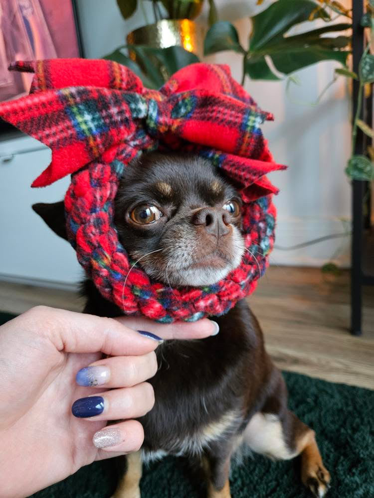 Festive Wreath Dog Tug 3 Sizes Available (Free Postage)