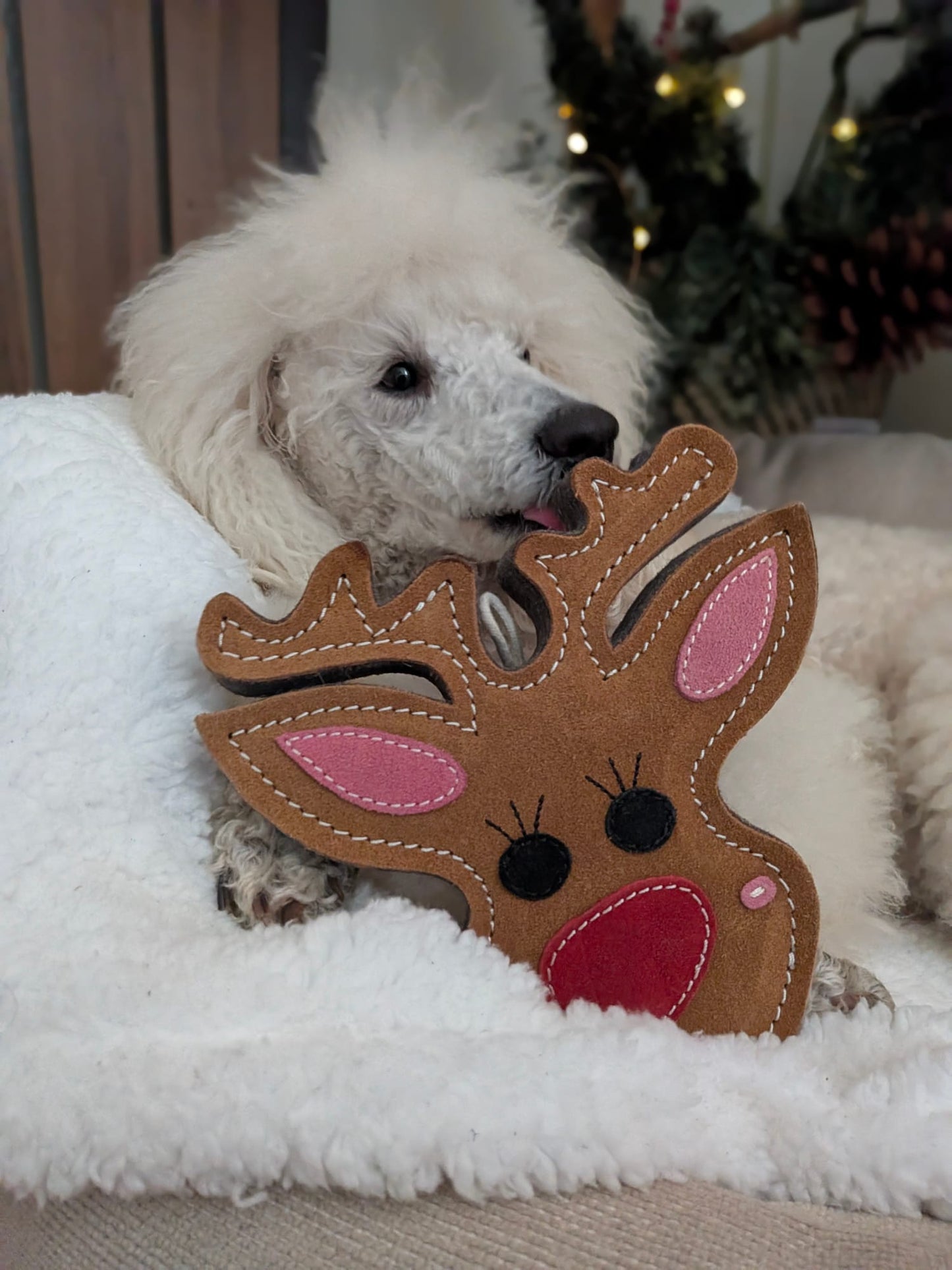 Rudy the Reindeer (Free Postage)