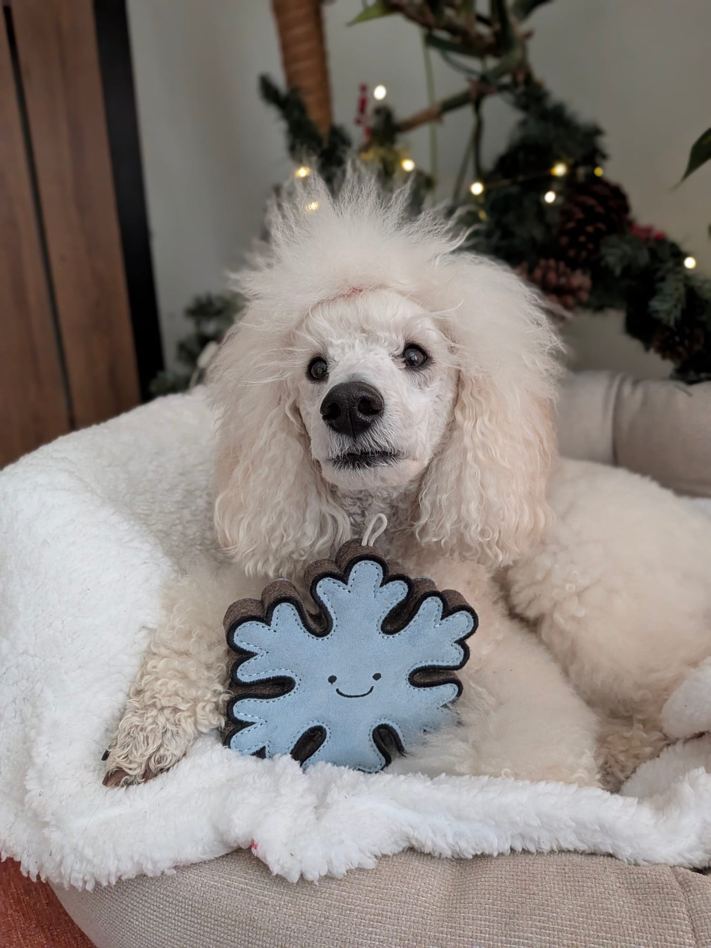 Flakey The Snowflake (Free Postage)