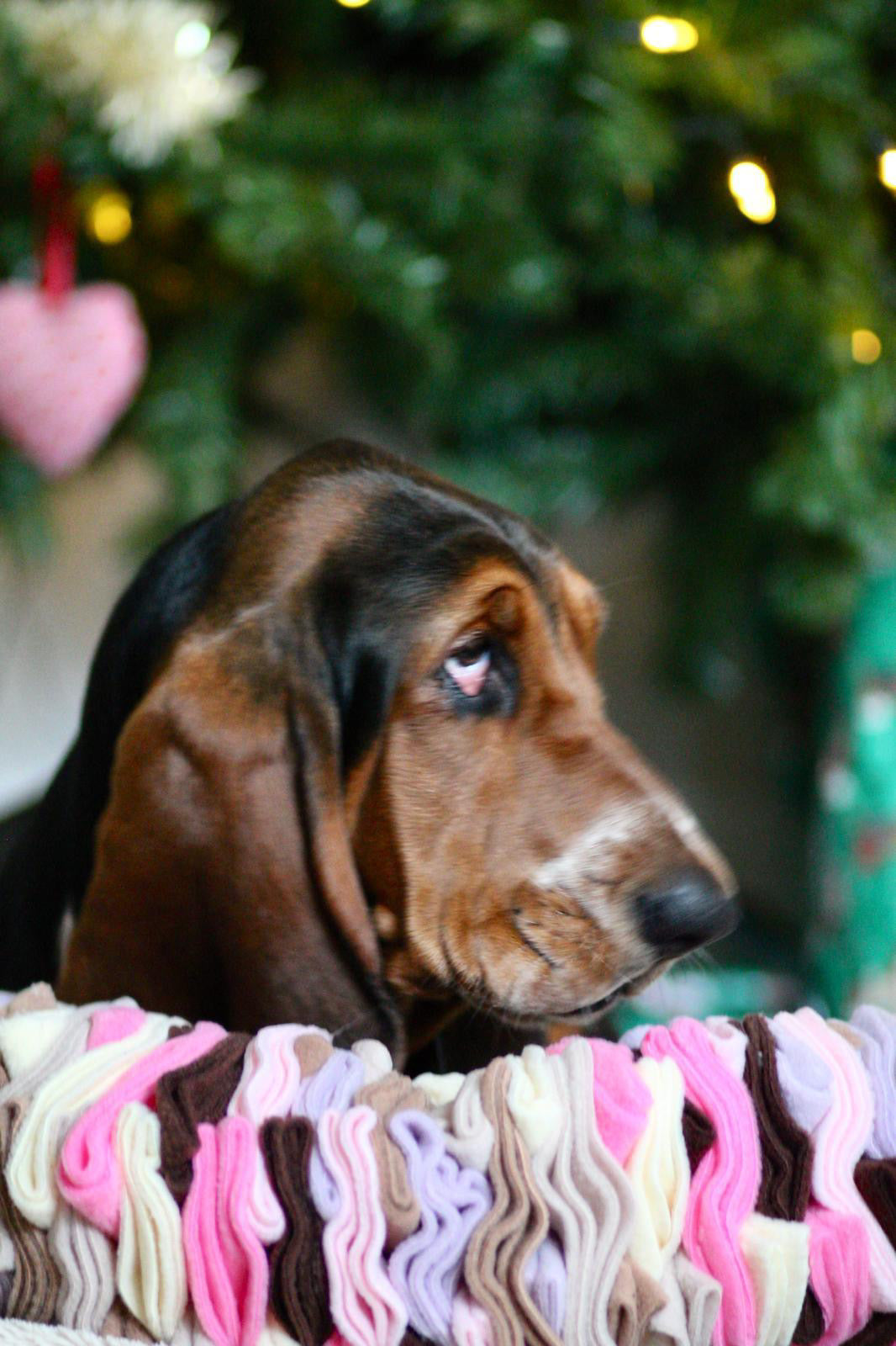 Custom Coloured Large Pocket Puzzle (Free Postage)