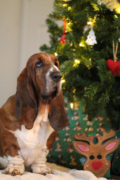 Rudy the Reindeer (Free Postage)