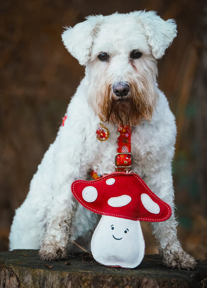 Marie Mushroom(Free Postage)