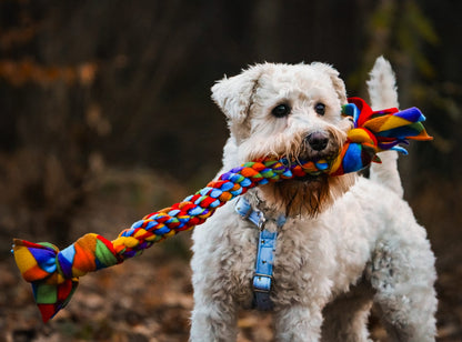 Dog Tugs 3 Sizes Available