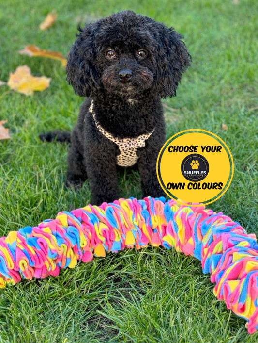 Custom Coloured Small Pocket Puzzle- for toy breeds and small pets