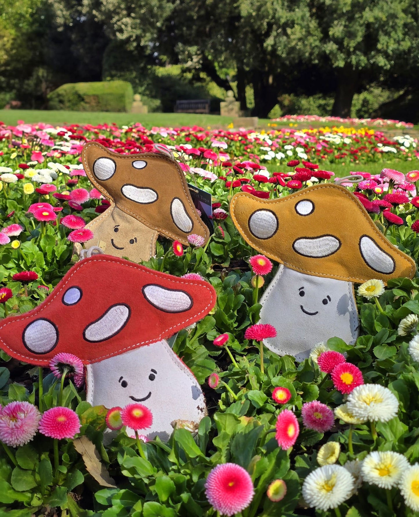 Chestnut The Mushroom