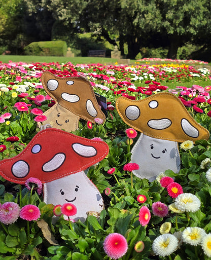 Chestnut The Mushroom