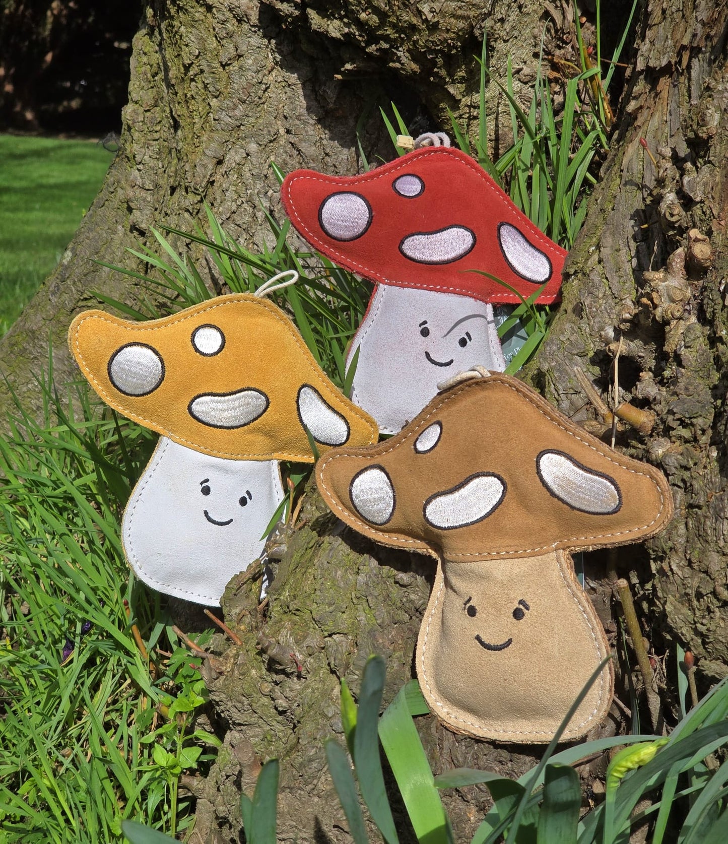 Chestnut The Mushroom