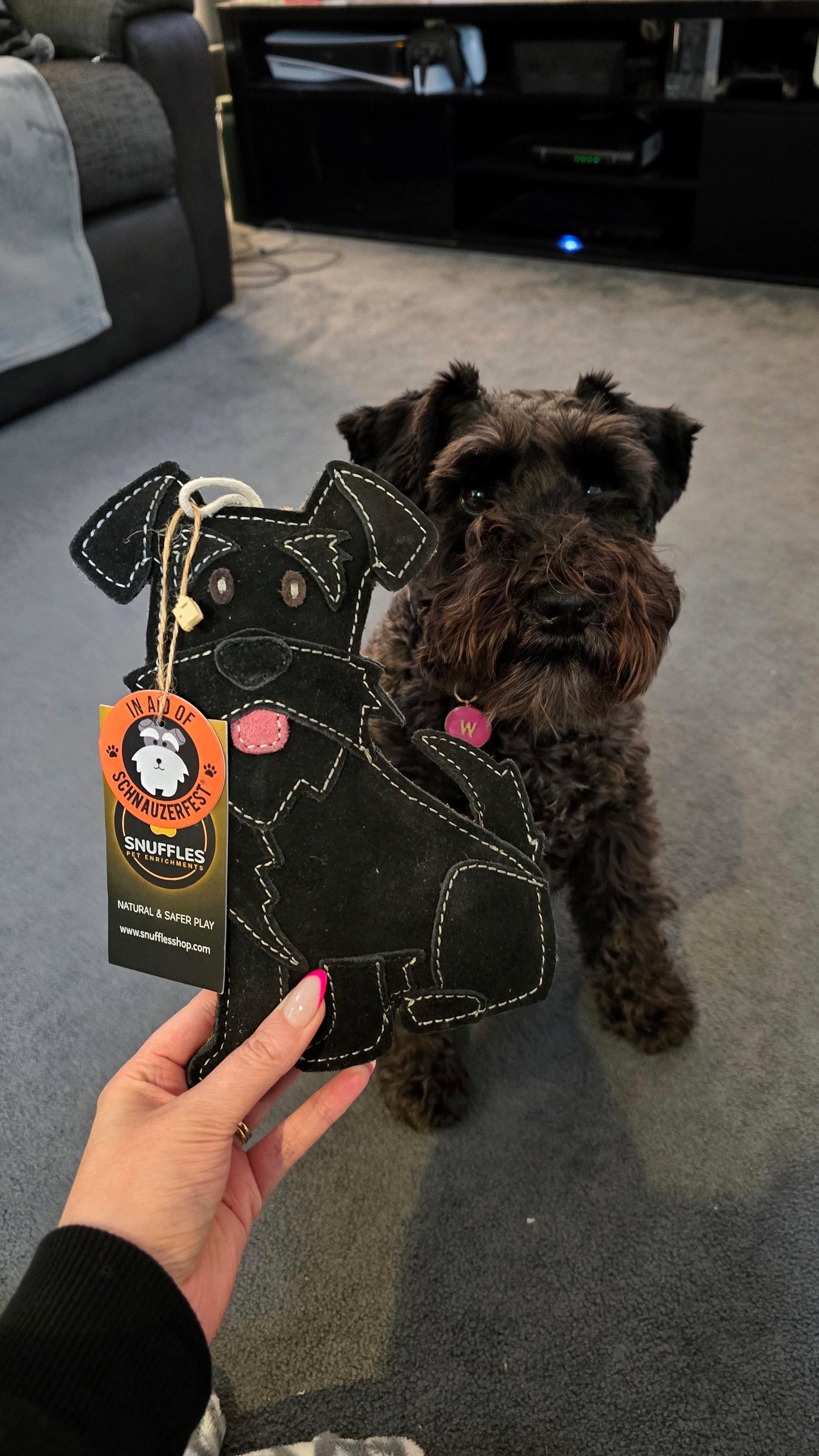 The Schnauzer Collection
