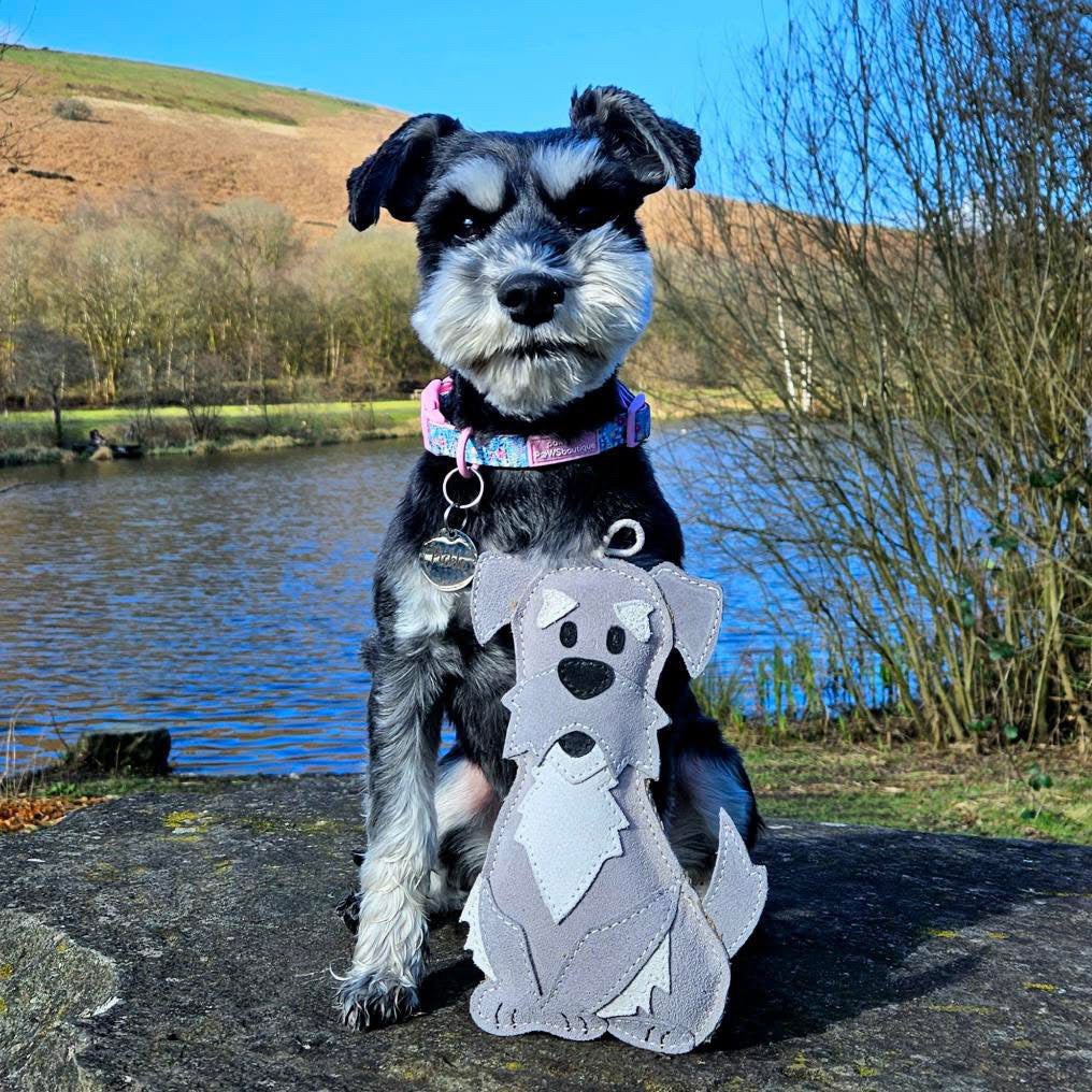The Schnauzer Collection