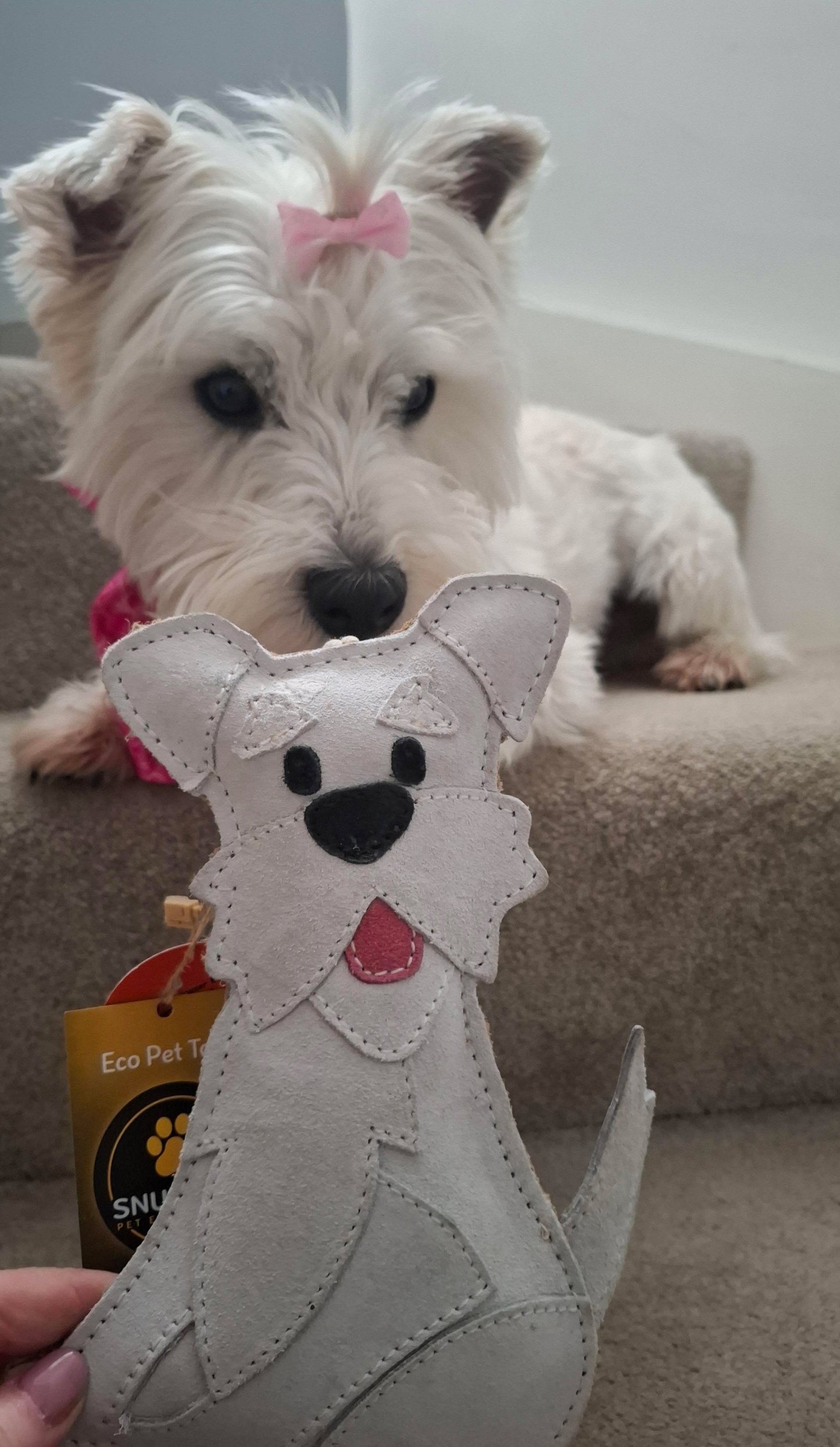The Schnauzer Collection