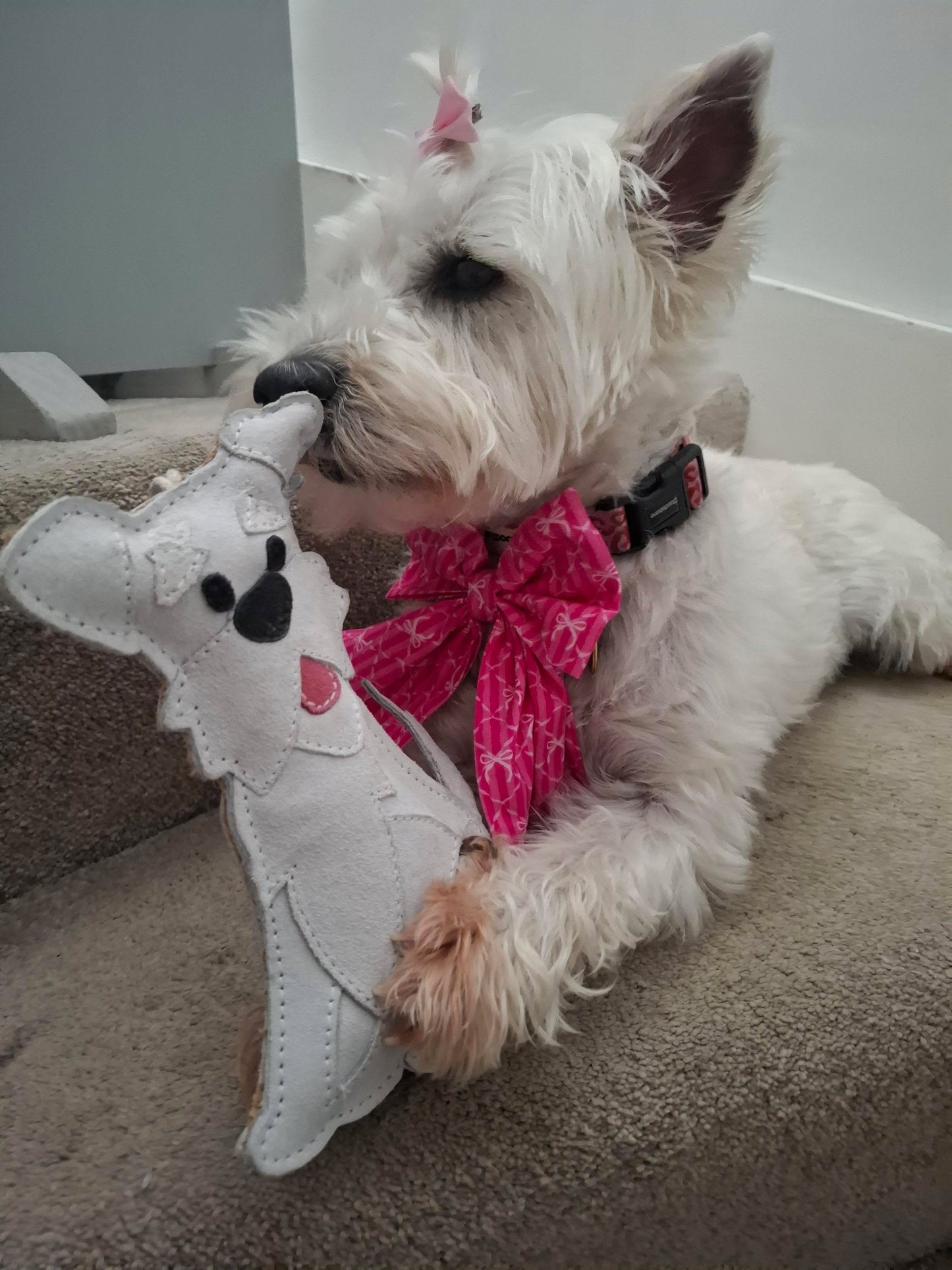 The Schnauzer Collection
