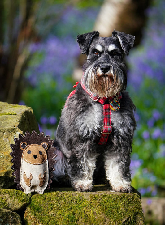 Bramble The Hedgehog (Cat Nip Infused)