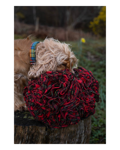 Extra Large Snuffle Ball (Free Postage)