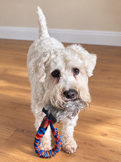 Rabbit Skin Pocket Size Squeaky Bungee, Tug-E-Nuff Range