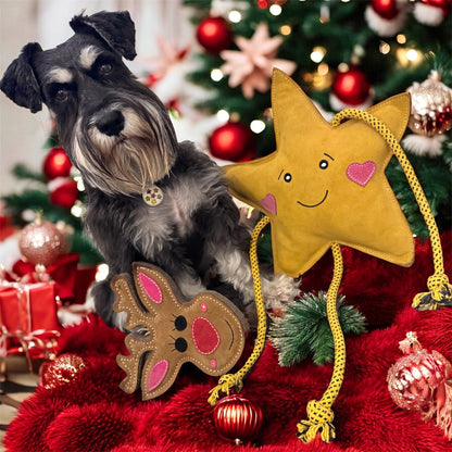 Aurora The XL Star (Free Postage)