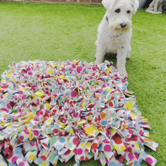 Extra Large Snuffle Mat – Snufflesshop