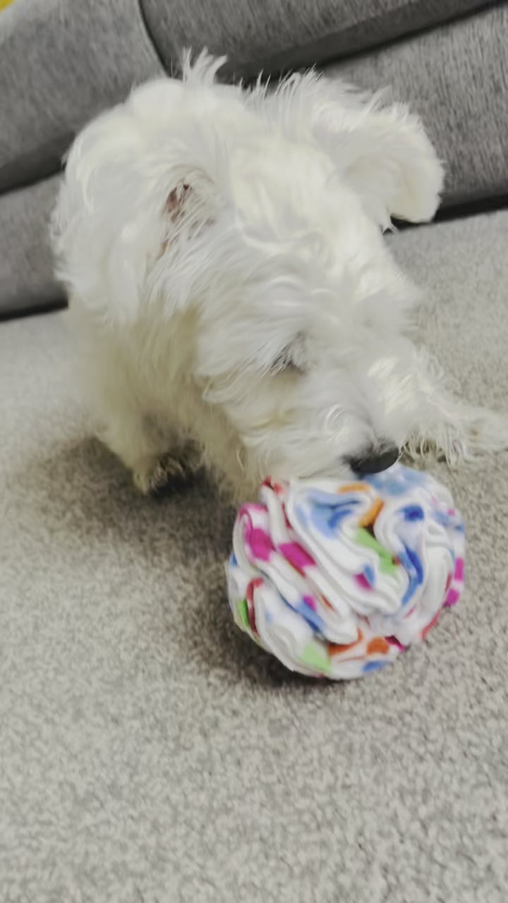 Snuffle Ball - Interactive Dog Activity – Pibble Pearls
