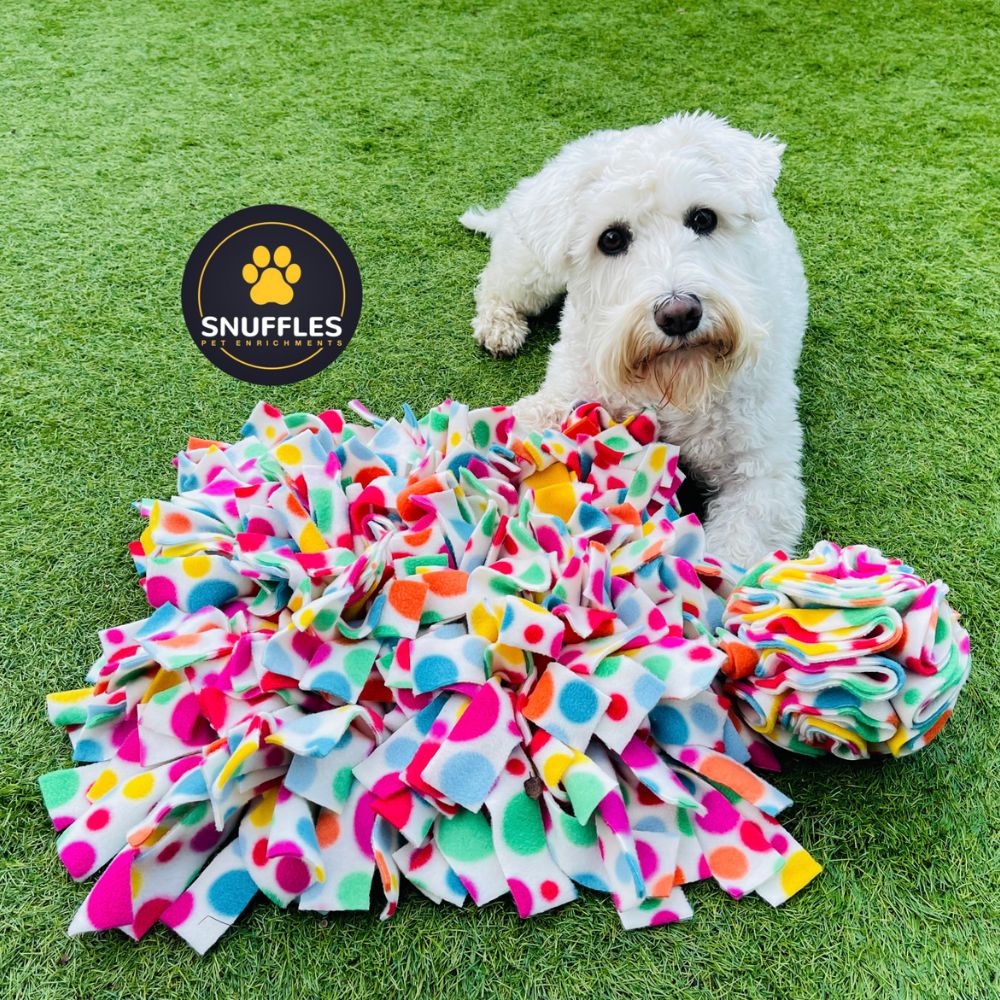 Standard Snuffle Mat & Medium Snuffle Ball Set – Snufflesshop