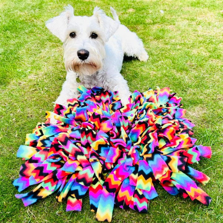 Cartoon Snuffle Mat Snuffle Mats – Snufflesshop
