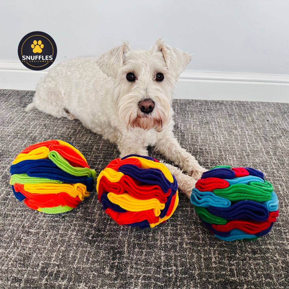 Custom Coloured Snuffle Balls available in 5 sizes