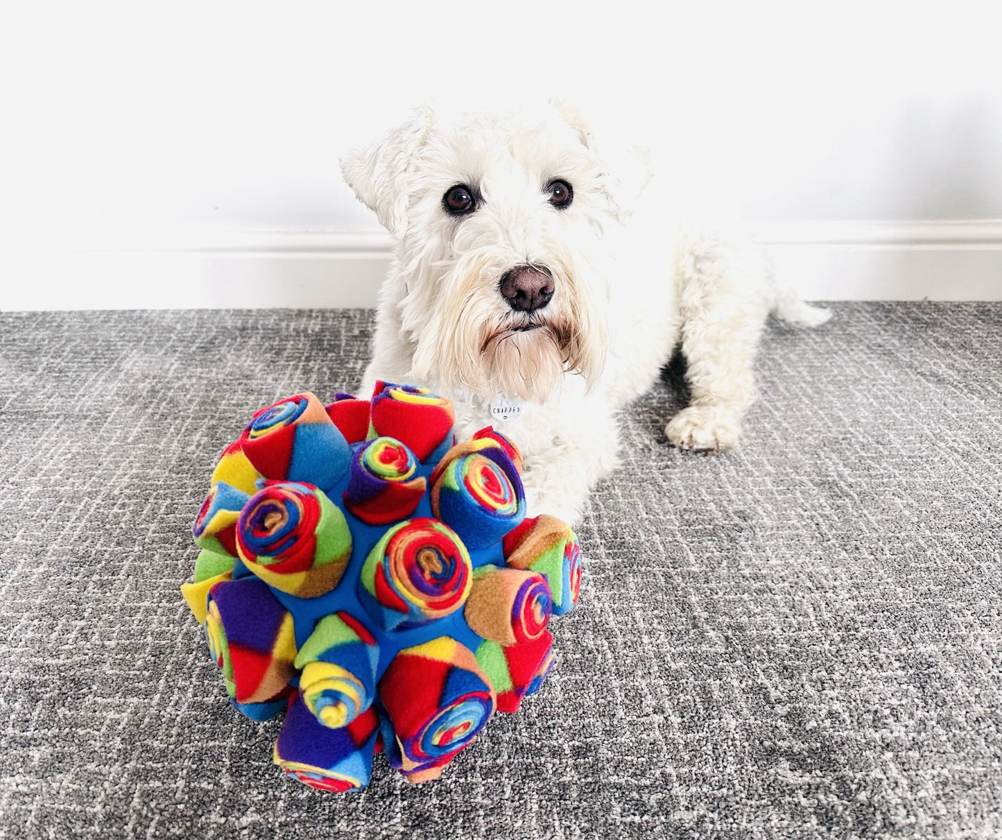 Snuffle Cage Ball in Red/Blue Harlequin