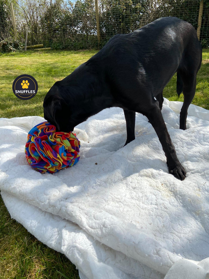 Large Snuffle Ball For Dogs, 10 Colour Options Available