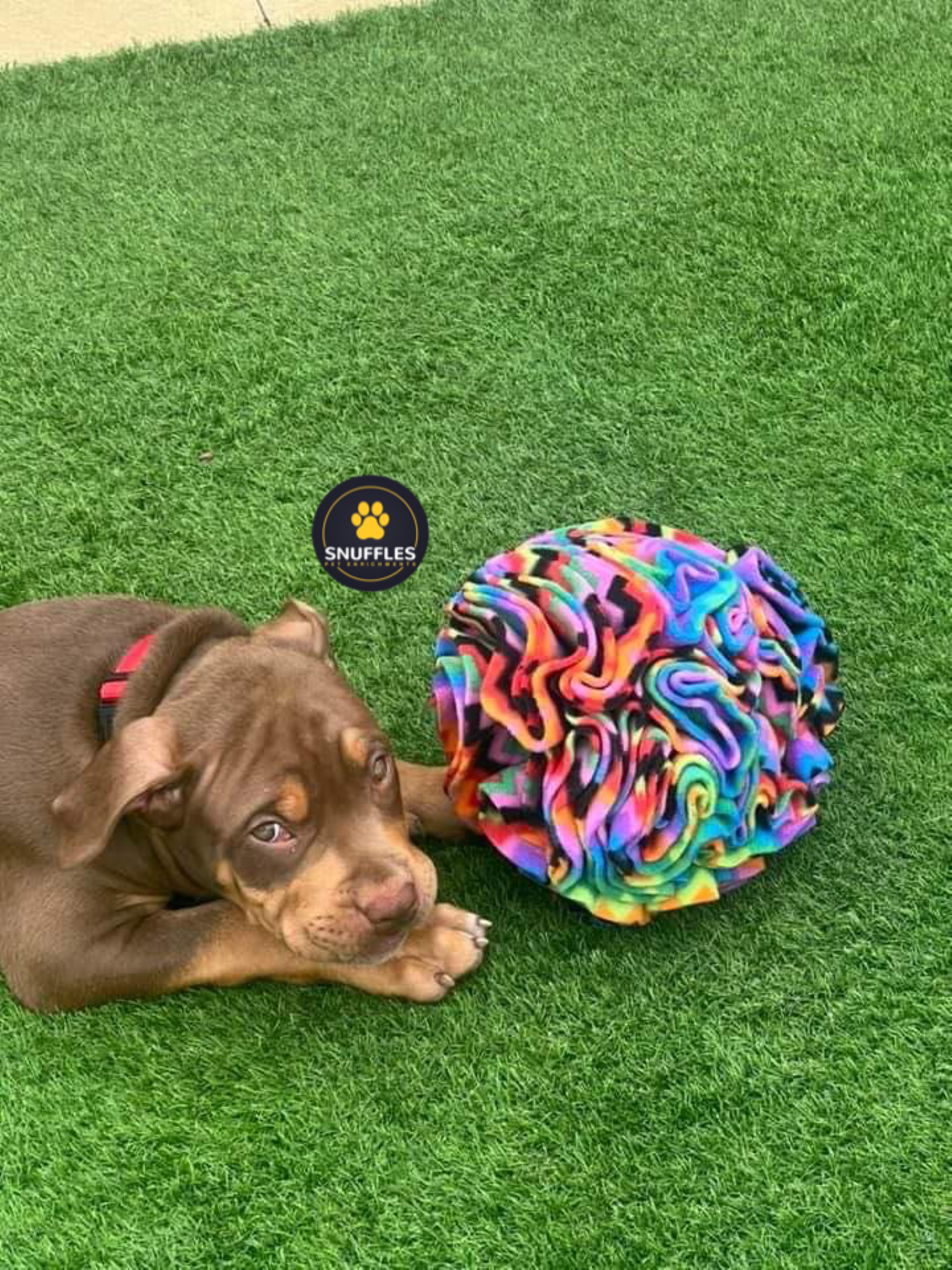 Large Snuffle Ball Fun Enrichment Dog Puzzle Learning & Scent Work Training  Slow Feeder for Medium and Large Dog Breeds dog Gifts 
