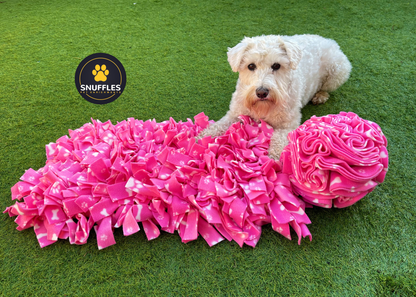 Large Snuffle Mat & Large Snuffle Ball Set (Free Postage)