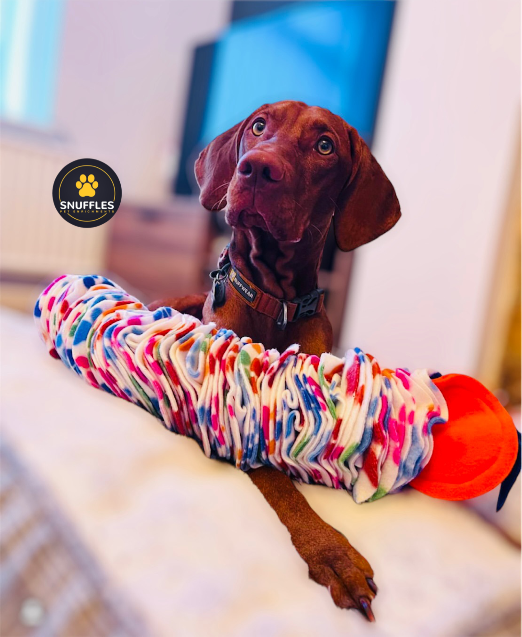 Custom Colours Large Snuffle Snake Interactive Dog Puzzle Long Lasting Slow  Feeder Medium-large Dogs & Puppy Dog Gift Idea Dog Toy 