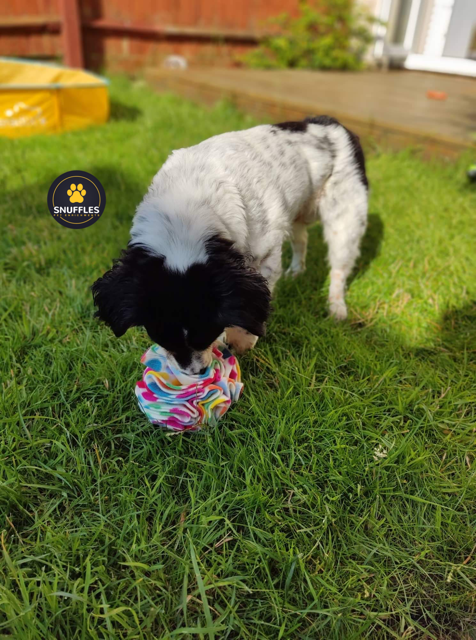 Medium Snuffle Ball For Dogs, 10 Colour Options Available