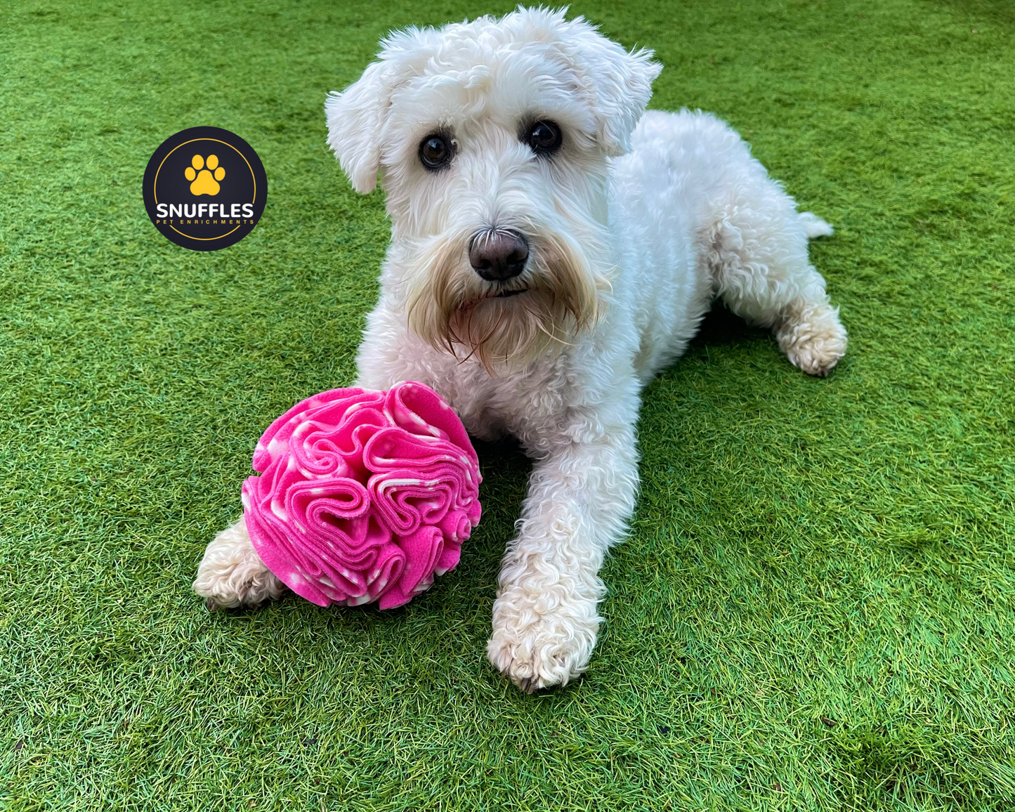 Medium Snuffle Ball For Dogs, 10 Colour Options Available
