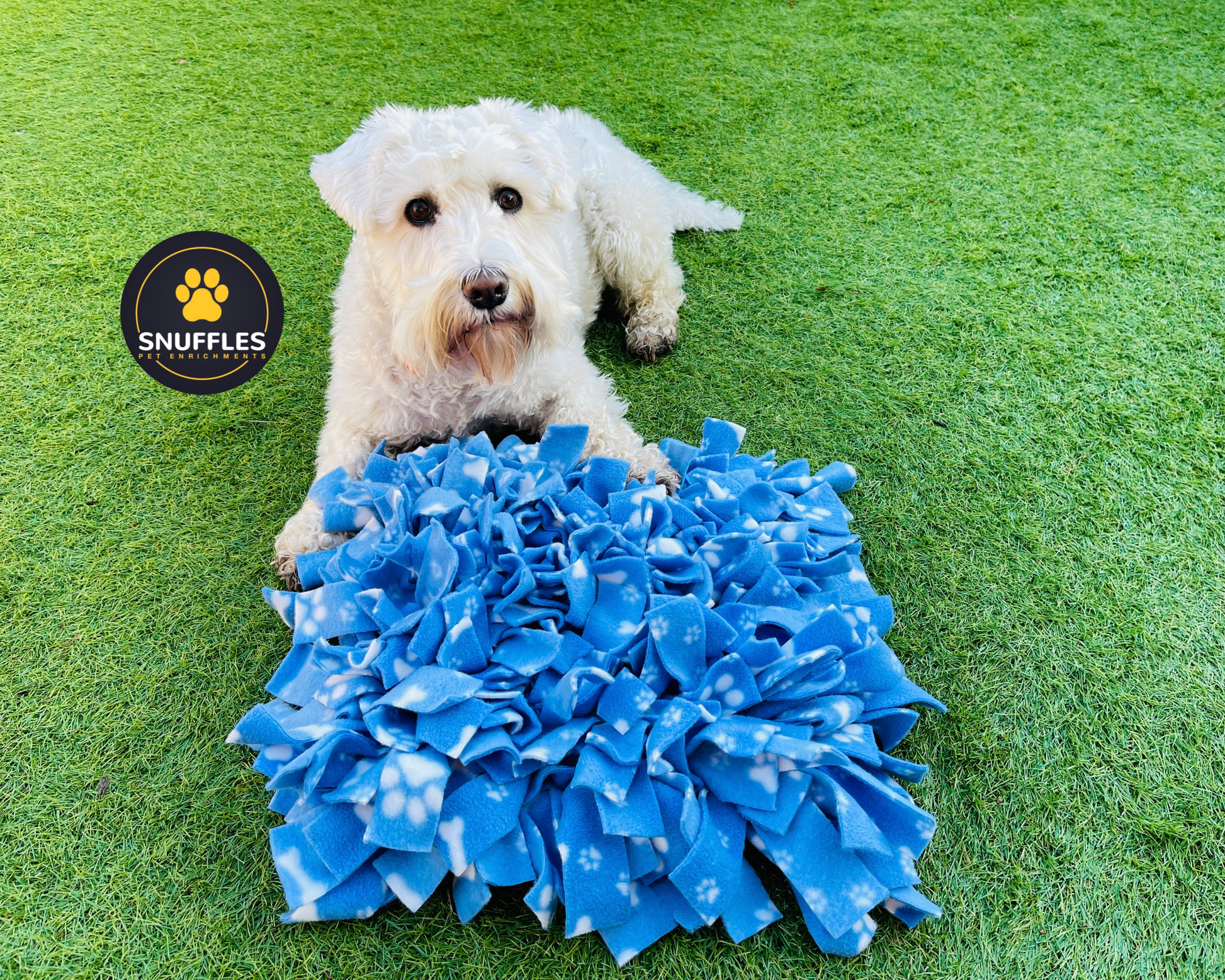 Buy Medium Dog Treat Mat Snuffle Mat Snuffles for Dogs and Puppiesslow  Feeding Foraging scent Work Training Dog & Puppy Gift Ideas Online in India  