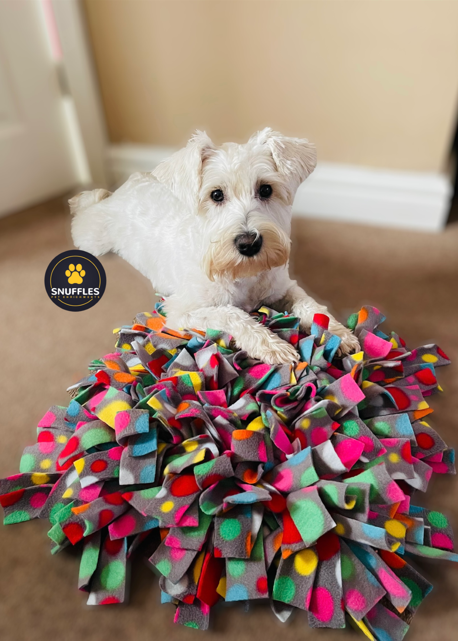 A Medium Treat Mat Snuffle Mat Dog Toyenrichment Activityfor Dogs and  Puppiesslow Feeding Foraging scent Work Training Dog Gifts 