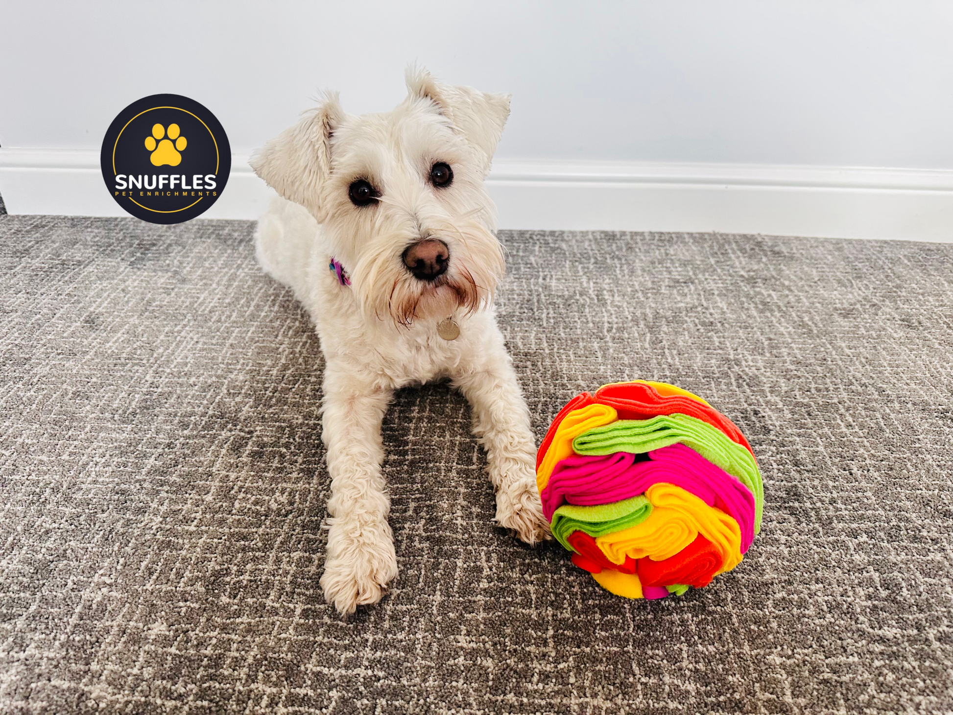 Multicoloured Snuffle Ball For Dogs And Pets Available In 4 Different Sizes