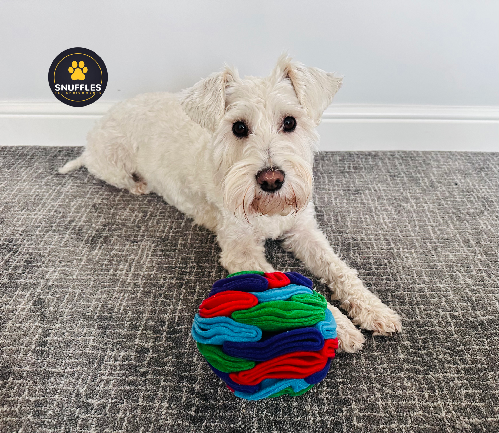 Snuffle Ball Multicolor 4 Sizes Available Treat Dispensing Dog Toy 