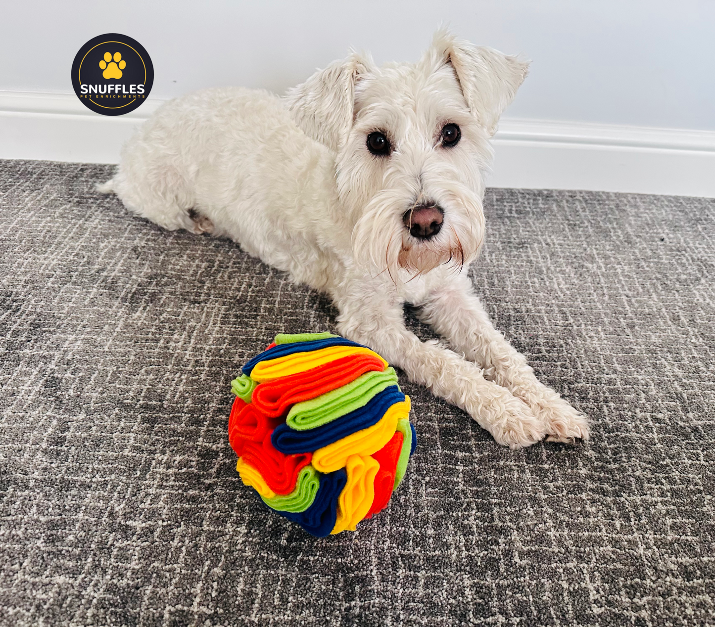 Multicoloured Snuffle Ball For Dogs And Pets Available In 4 Different Sizes