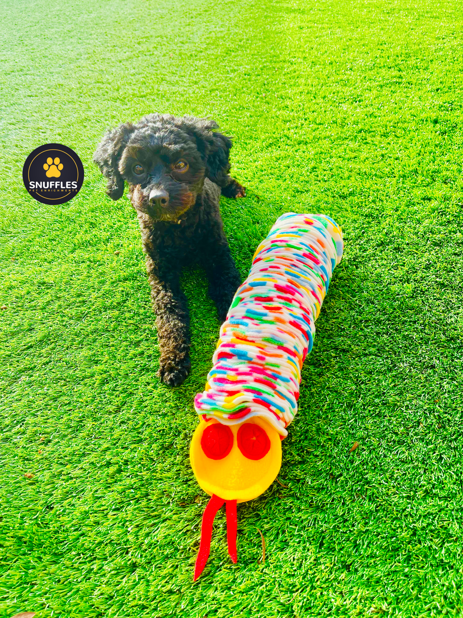 Small Snuffle Snake For Dogs And Small Pets 
