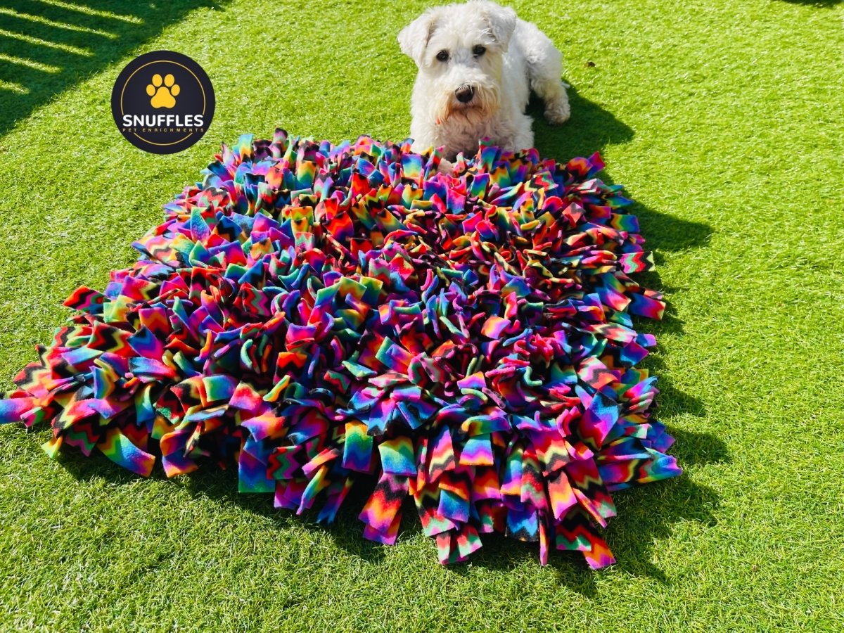 Are Snuffle Mats Safe for Dogs? - SnuffleStore