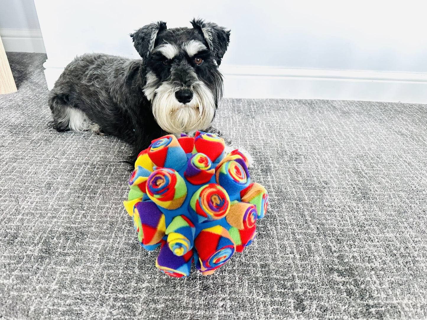 Snufle Cage Ball in Red/Blue Harlequin